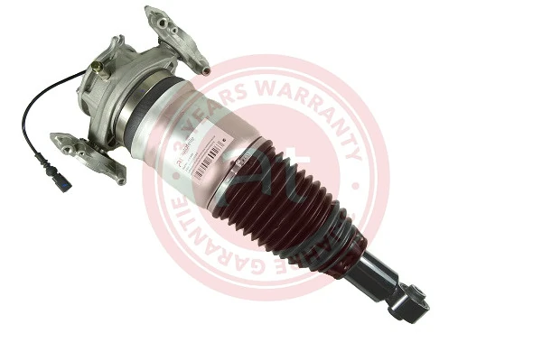 Air Suspension Strut